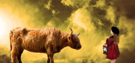 Was sagt Sternzeichen Stier über einen aus? Was sagt Sternzeichen Stier über einen aus?